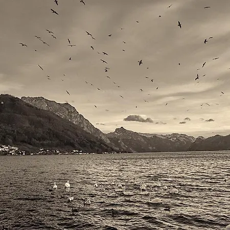 Appartement Keramikhaus